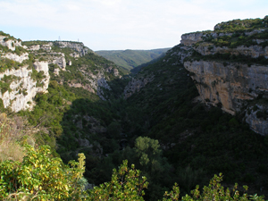 Discordance de Minerve