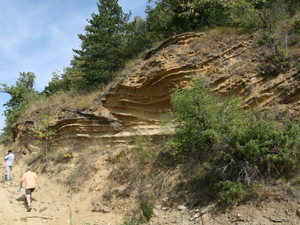 Mégaride de Chateau Neuf