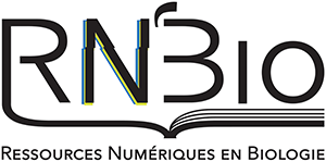 logo rnbio